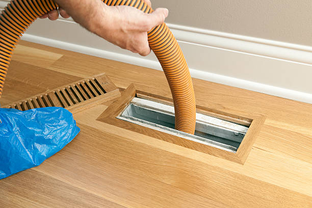 Best Professional Duct Cleaning Services  in Indian Rocks Beach, FL